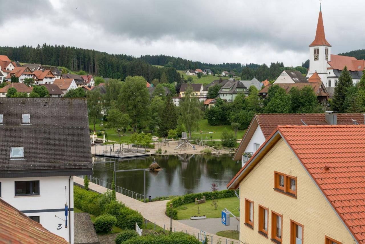 Grosses Mit Sauna, Grill, Garten, Kaminofen * Schonach im Schwarzwald