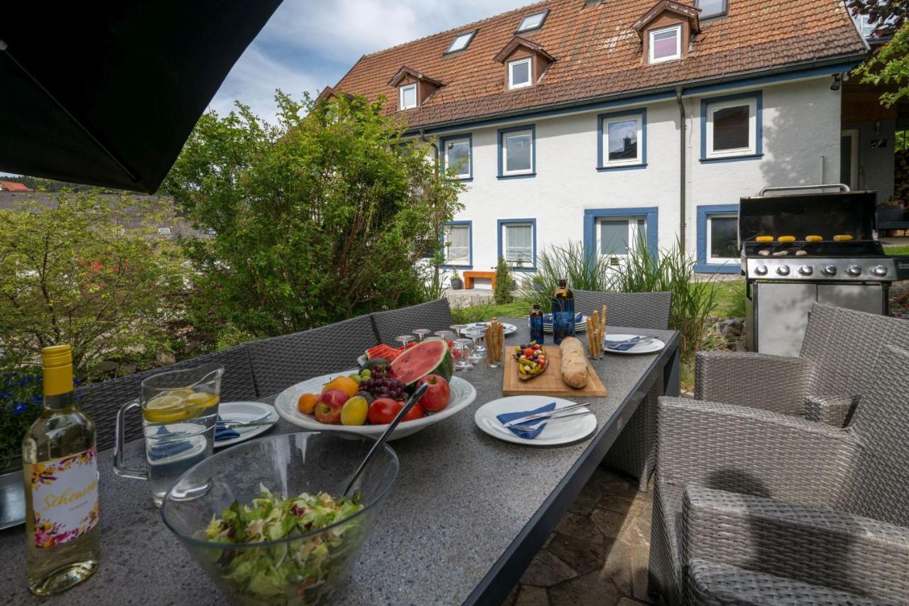 Grosses Mit Sauna, Grill, Garten, Kaminofen Apartment Schonach im Schwarzwald