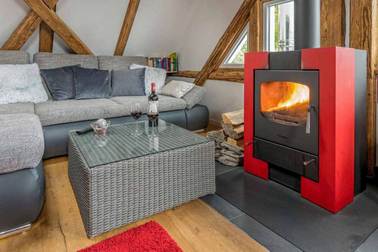 Grosses Mit Sauna, Grill, Garten, Kaminofen Apartment Schonach im Schwarzwald